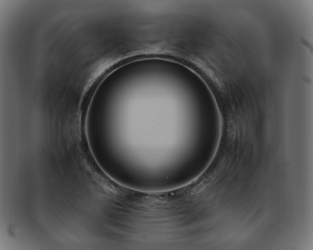 X0000092281270200709141214