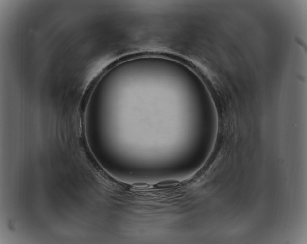 X0000092281271200709141214