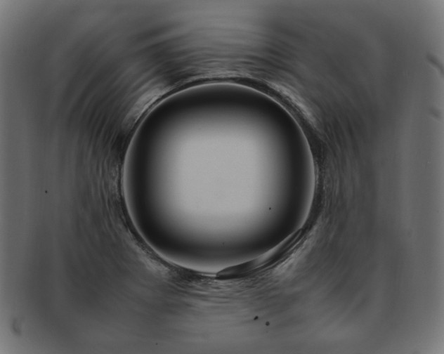 X0000092281273200709141214