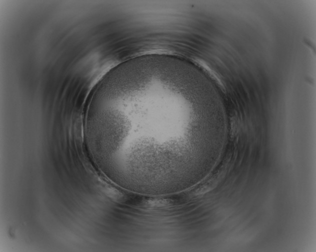 X0000092281274200709141214