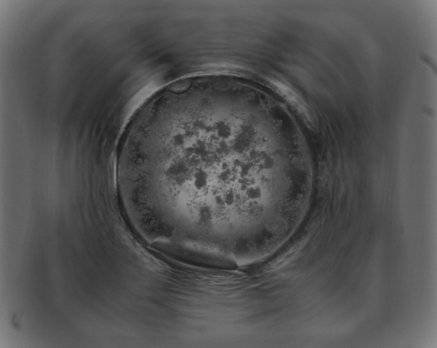 X0000092281275200709141214