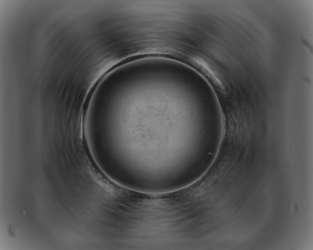 X0000092281276200709141214