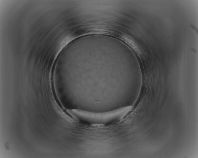 X0000092281283200709141214