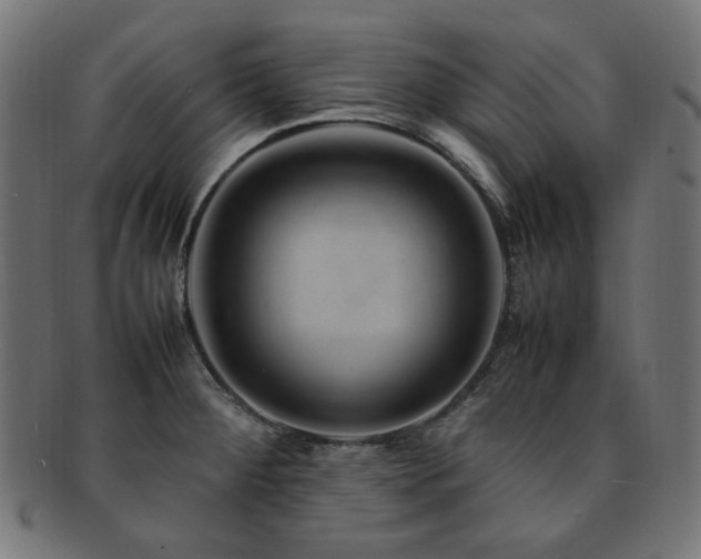 X0000092281284200709141214