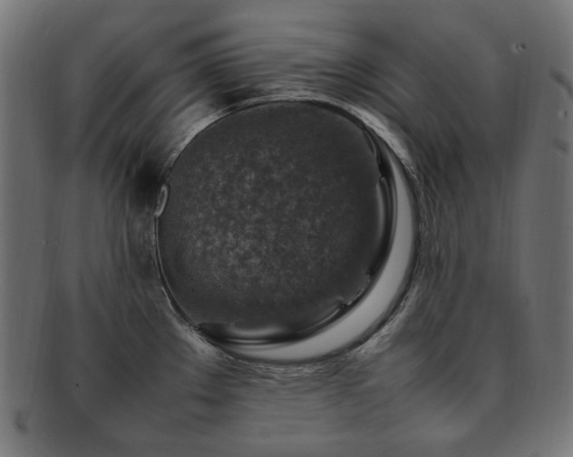 X0000092281289200709141214