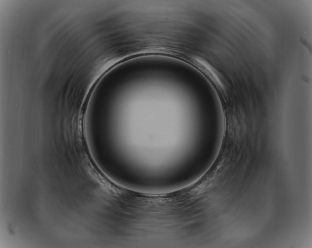 X0000092281292200709141213