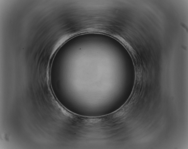 X0000092281294200709141213