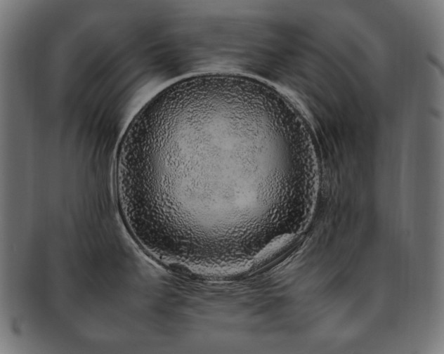 X0000092281295200709141213