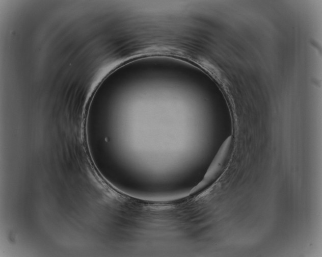X0000092281296200709141213