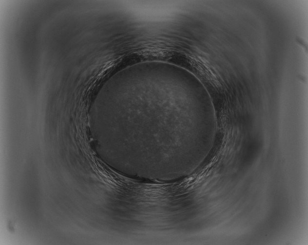 X0000092281297200709141213