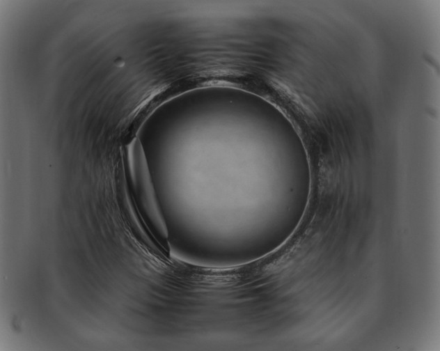 X0000092281305200709141213