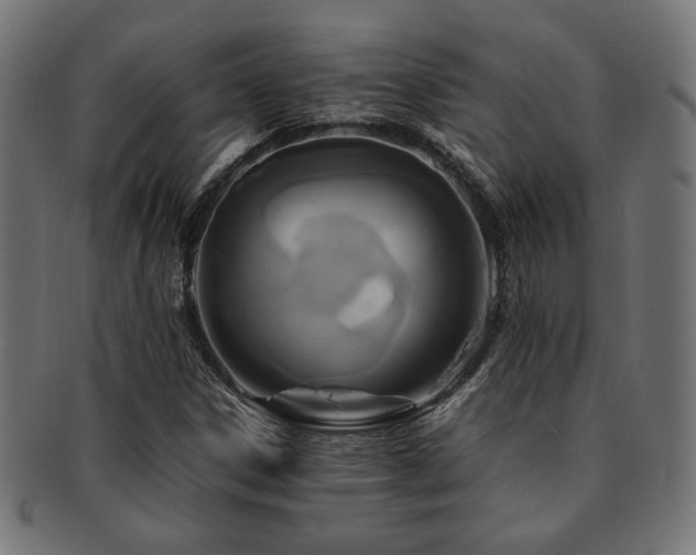 X0000092281306200709141213