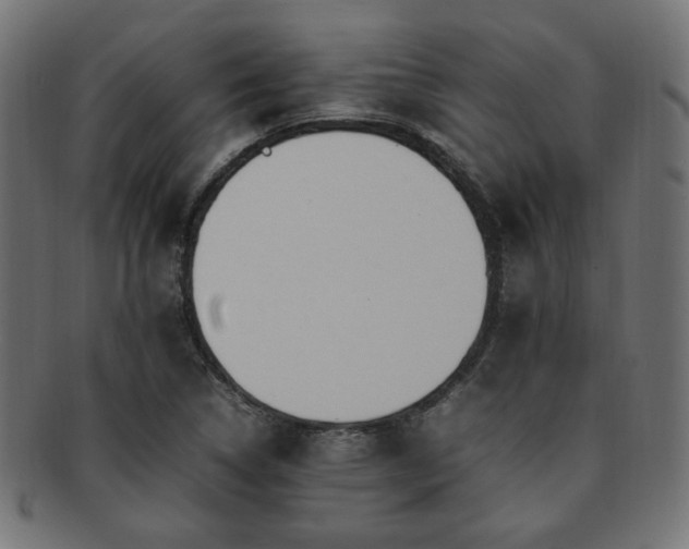 X0000092281314200709141213