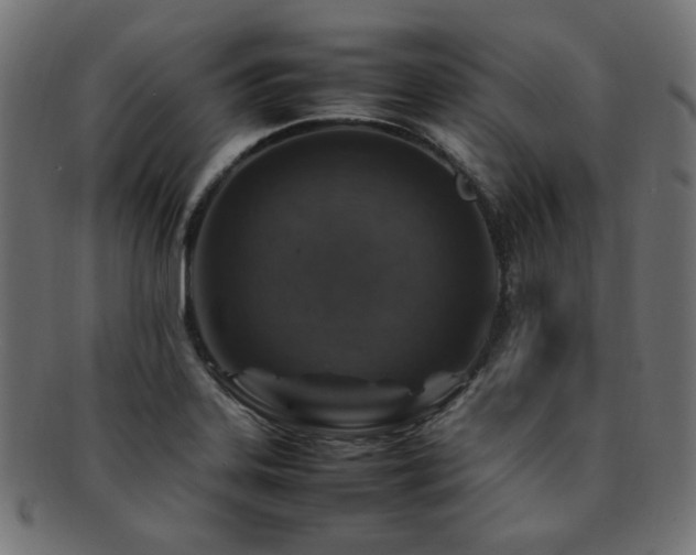 X0000092281323200709141213