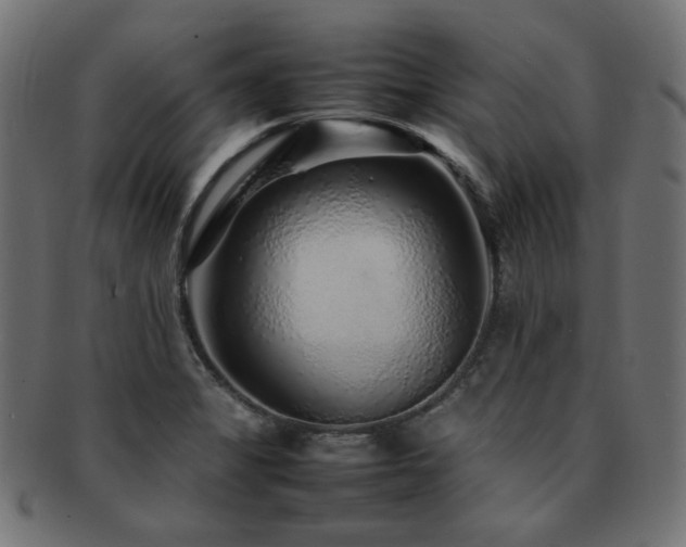 X0000092281325200709141213