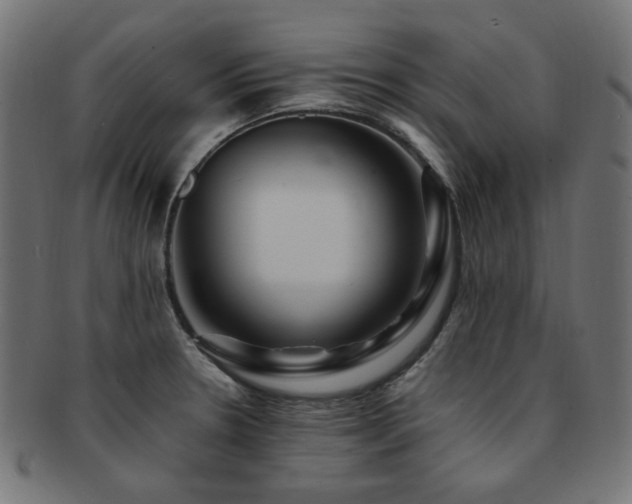 X0000092281330200709141213