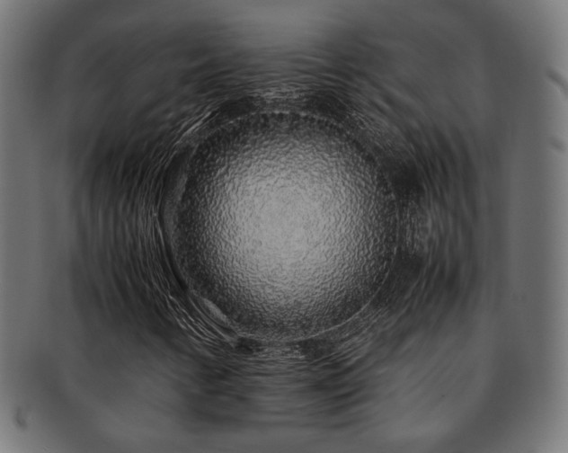 X0000092281346200709141213