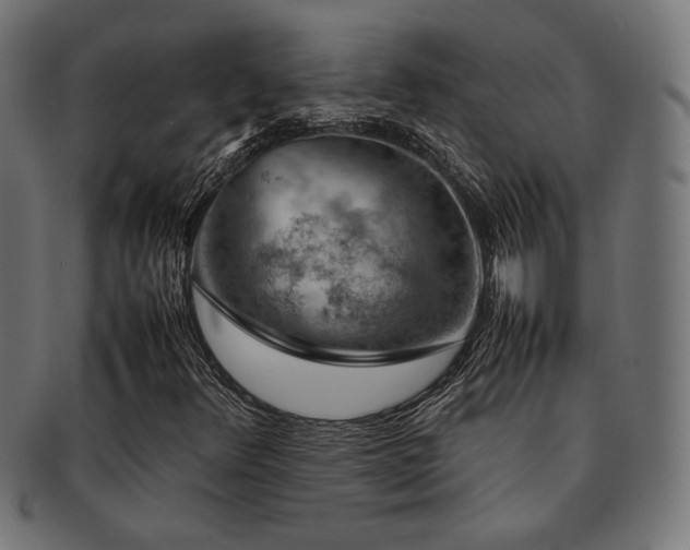 X0000092281348200709141213