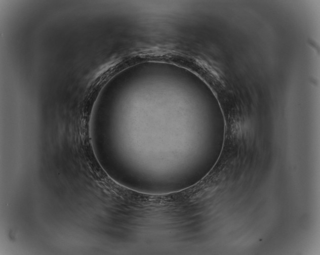 X0000092281350200709141213
