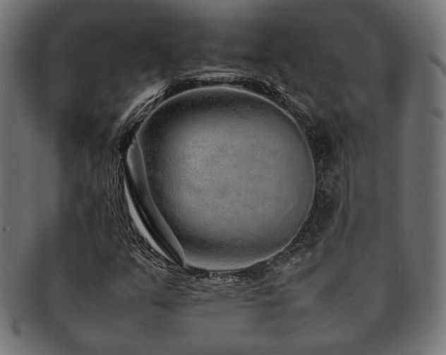 X0000092281351200709141213
