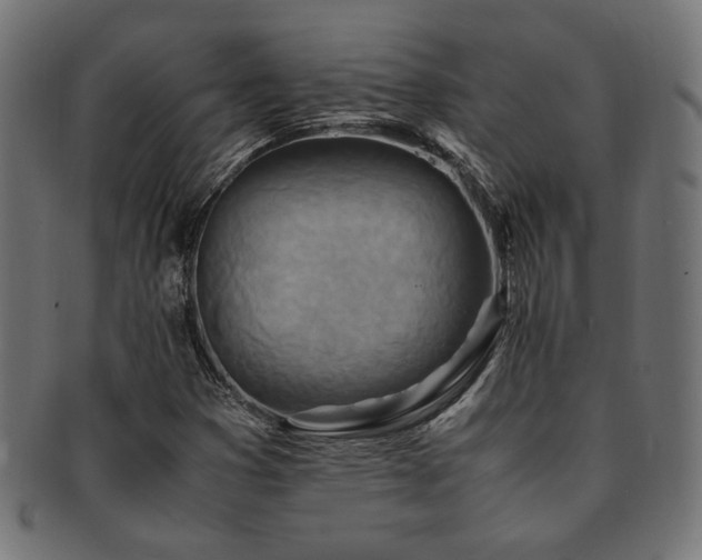 X0000092281353200709141213