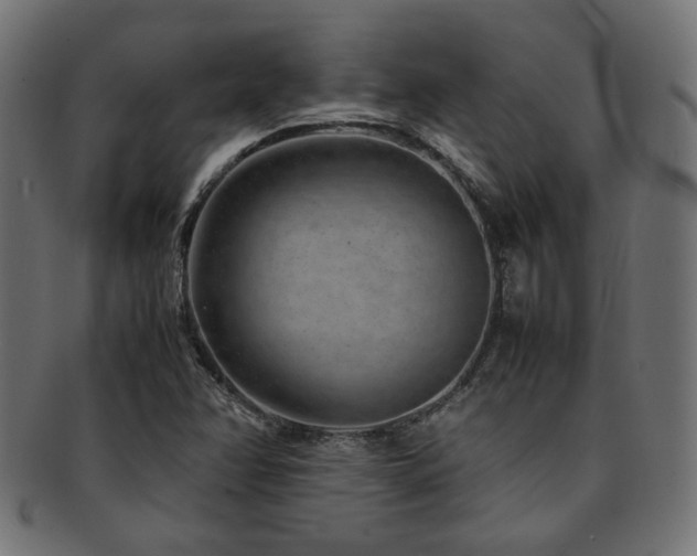 X0000092281358200709141213