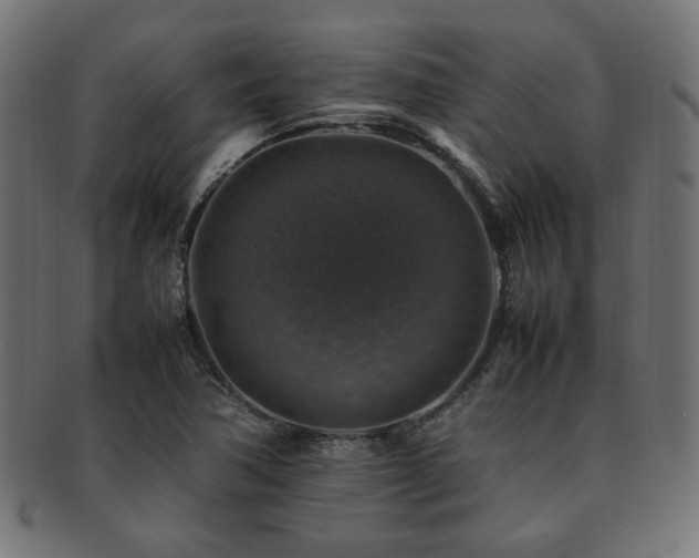 X0000092281362200709141213