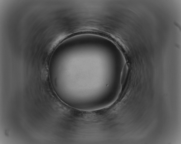 X0000092281363200709141213