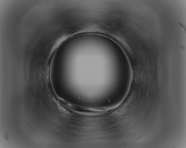 X0000092281366200709141213