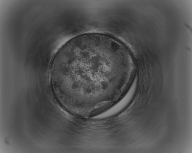 X0000092281367200709141213