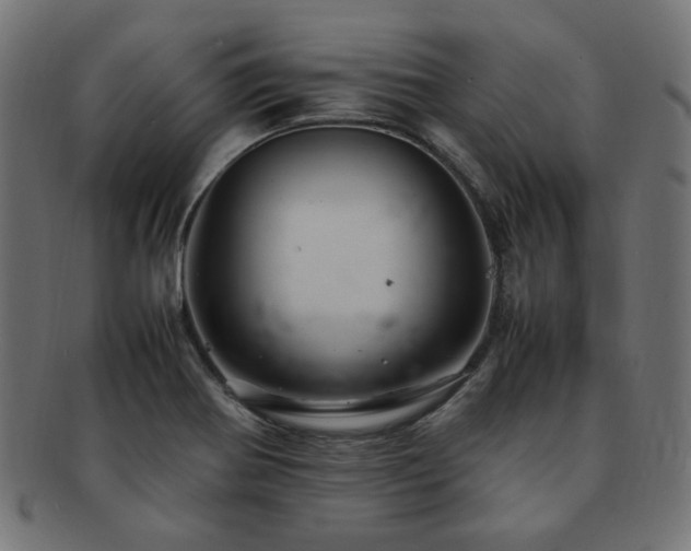 X0000092281370200709141213
