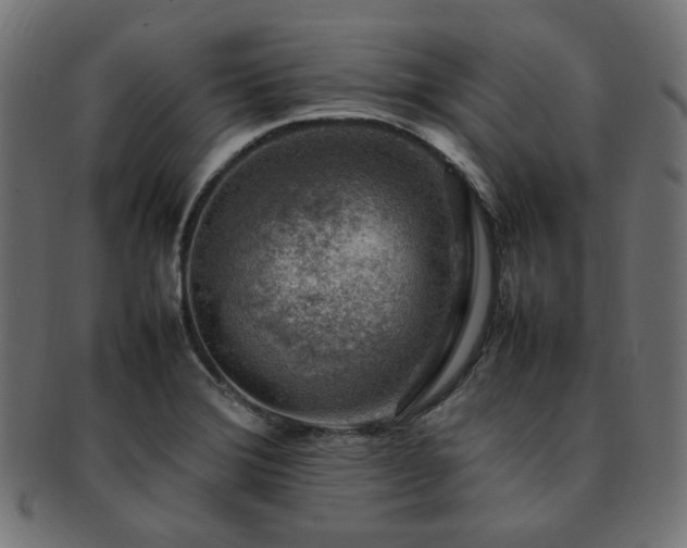 X0000092281372200709141213