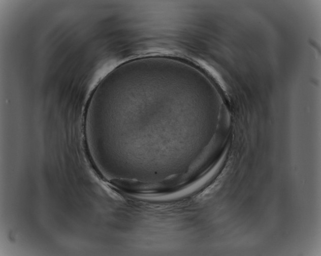X0000092281373200709141213