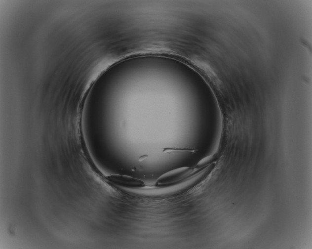 X0000092281374200709141213