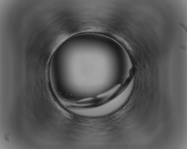 X0000092281375200709141213