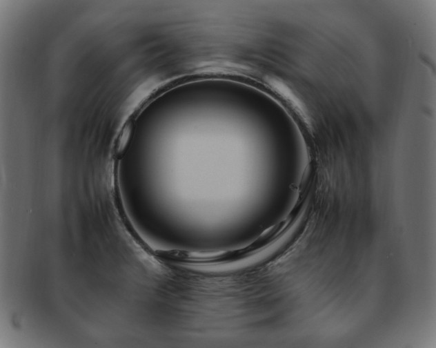 X0000092281376200709141213