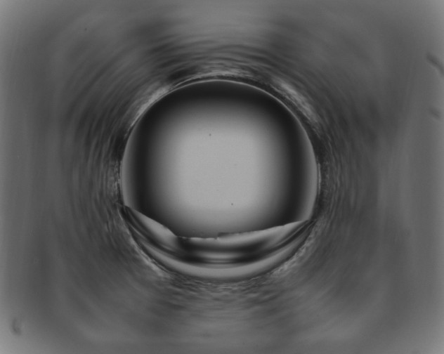 X0000092281377200709141212