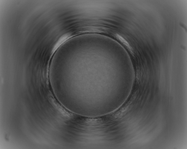 X0000092281378200709141212