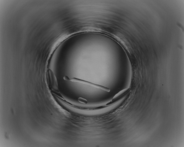 X0000092281379200709141212