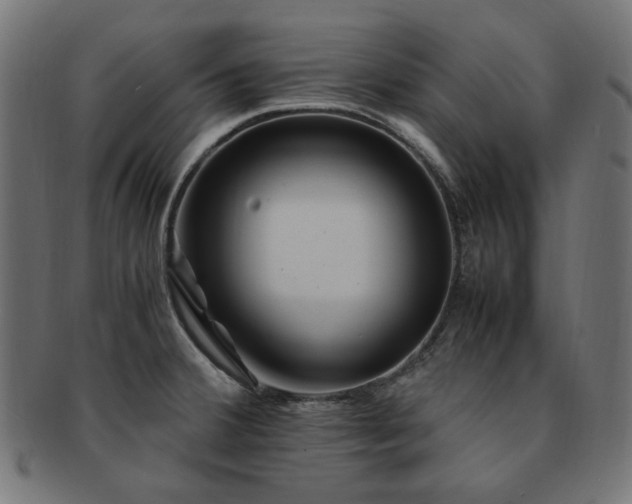 X0000092281380200709141212