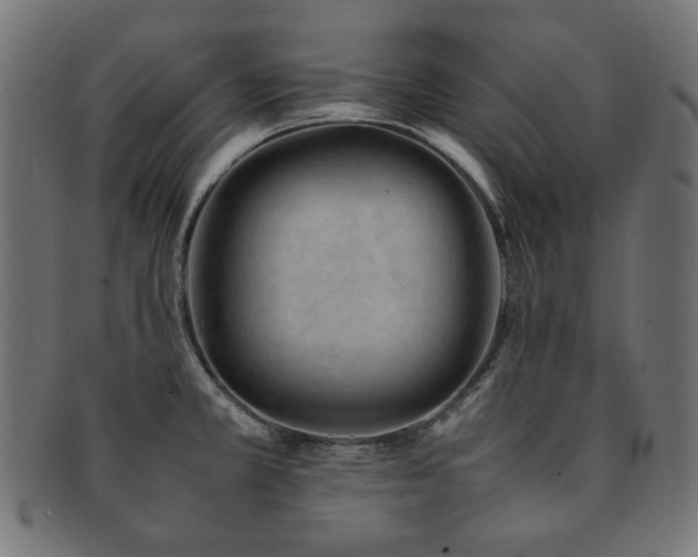 X0000092281381200709141212