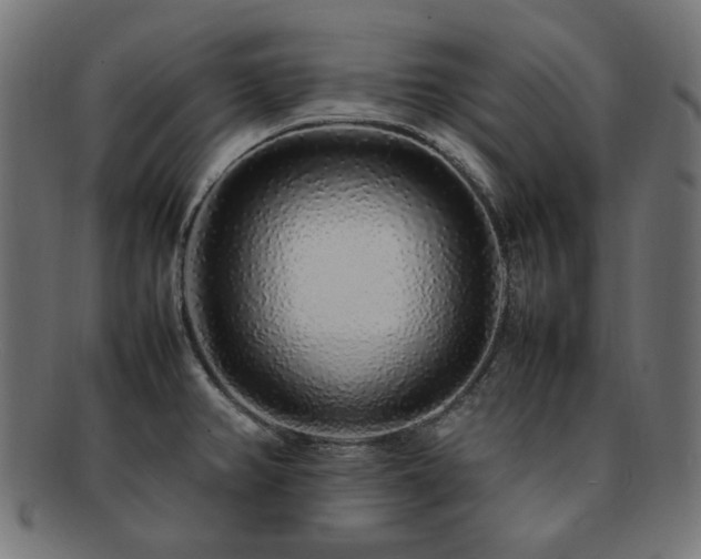 X0000092281382200709141212