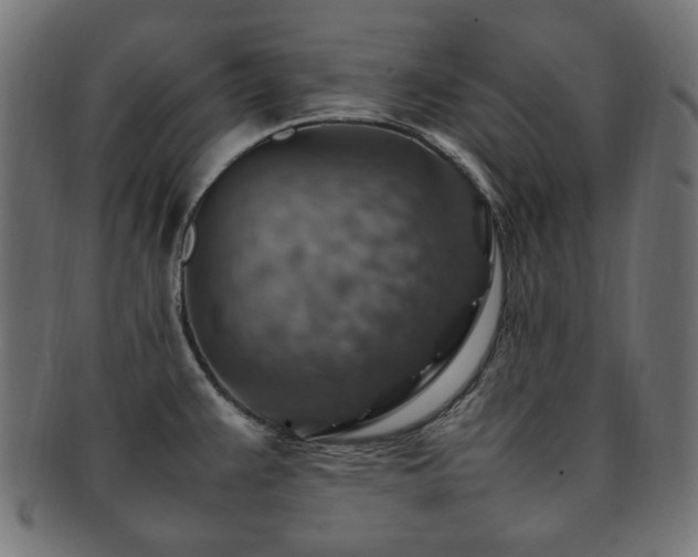X0000092281383200709141212