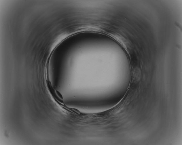 X0000092281391200709141212