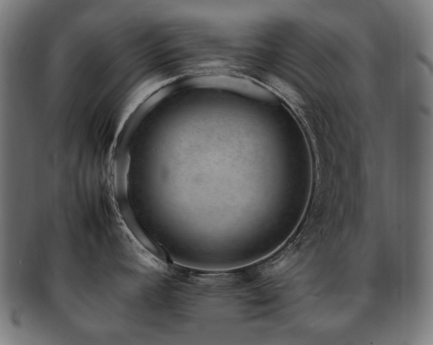 X0000092281392200709141212