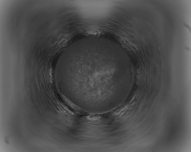 X0000092281394200709141212