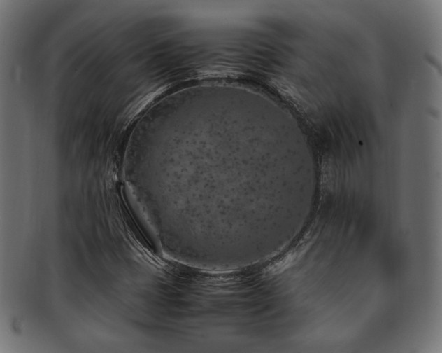 X0000092281401200709141212
