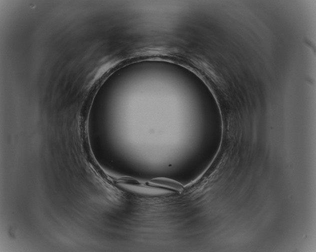 X0000092281404200709141212