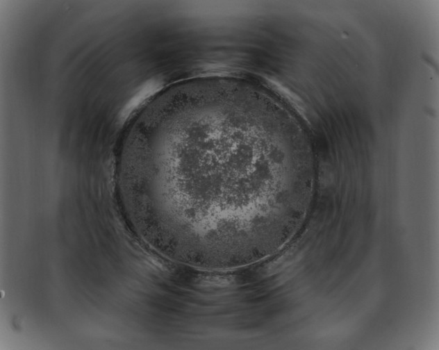 X0000092281411200709141212