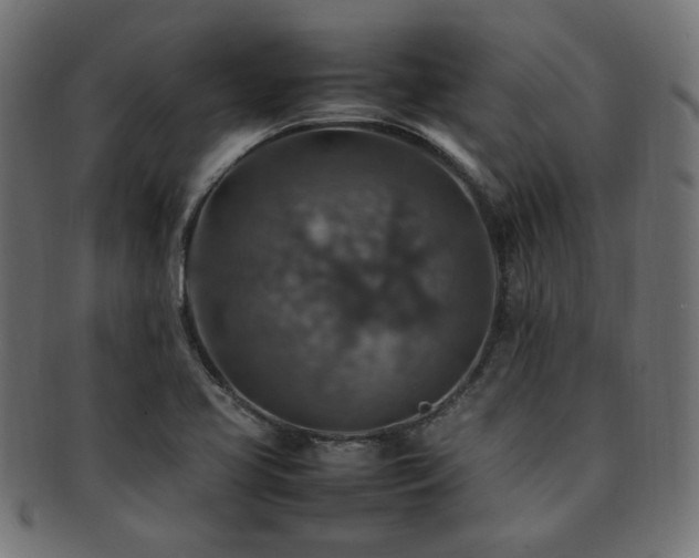 X0000092281413200709141212
